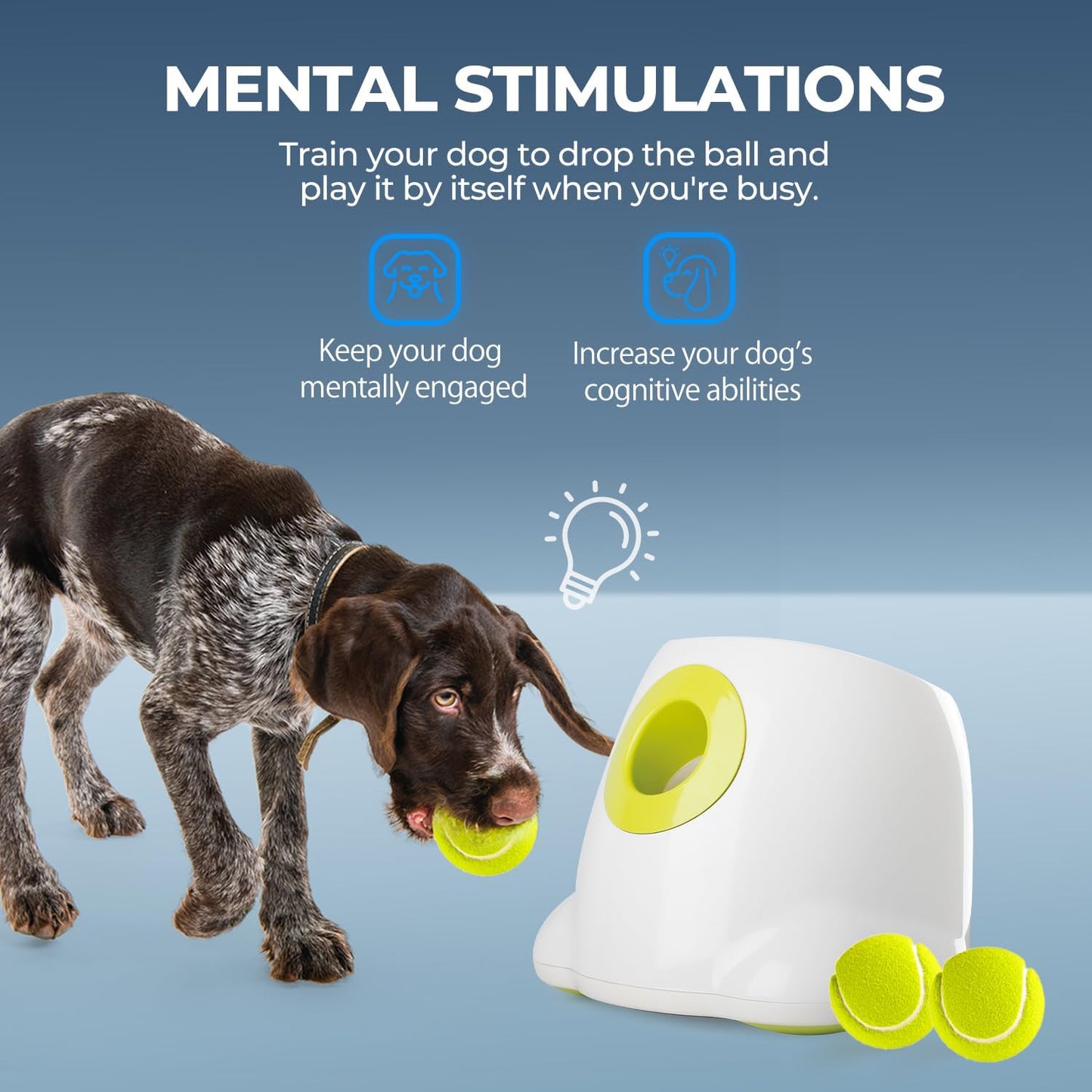Interactive Automatic Tennis Ball Launcher for Dogs – Rechargeable Fetch Toy with 3 Balls Included (MAX)
