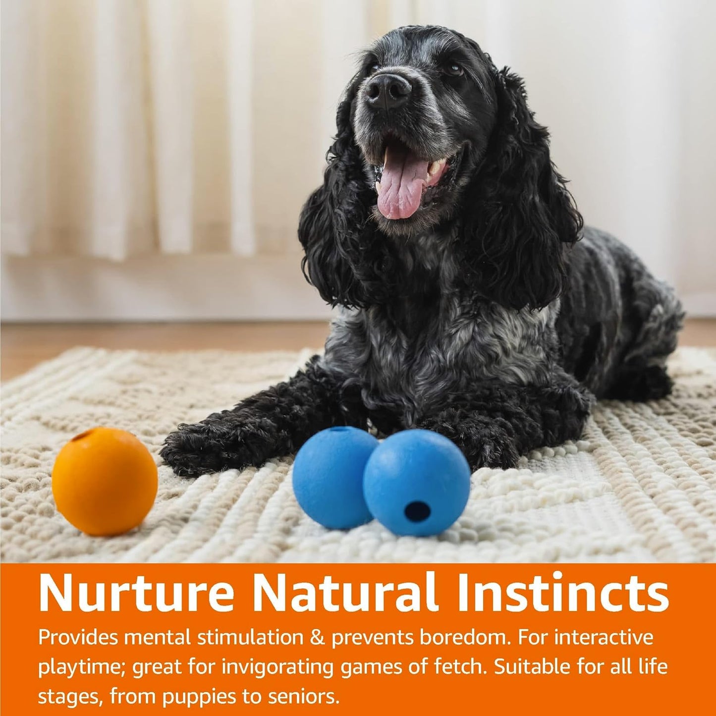 Set of 3 Rubber Dog Balls for Fetch, 6.35 cm, in Blue and Orange