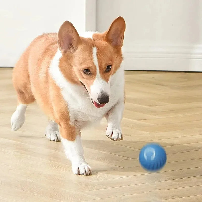 Electronic Interactive Dog Toy Ball – USB Rechargeable Automatic Moving & Bouncing Ball for Puppies and Cats, Fun Pet Toy, Perfect Birthday Gift
