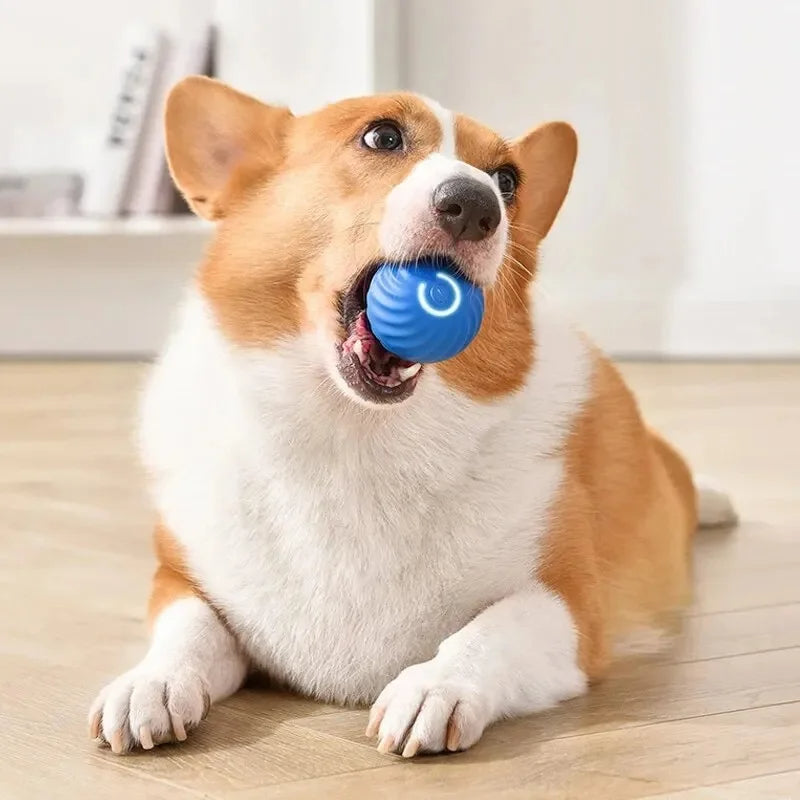 Electronic Interactive Dog Toy Ball – USB Rechargeable Automatic Moving & Bouncing Ball for Puppies and Cats, Fun Pet Toy, Perfect Birthday Gift