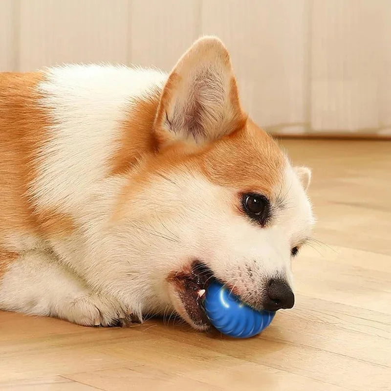 Electronic Interactive Dog Toy Ball – USB Rechargeable Automatic Moving & Bouncing Ball for Puppies and Cats, Fun Pet Toy, Perfect Birthday Gift