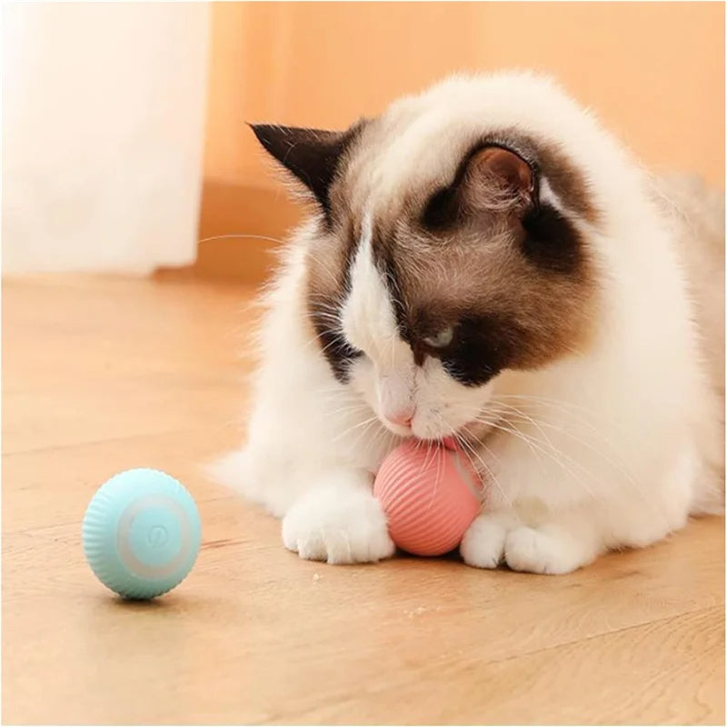 Electronic Interactive Dog Toy Ball – USB Rechargeable Automatic Moving & Bouncing Ball for Puppies and Cats, Fun Pet Toy, Perfect Birthday Gift