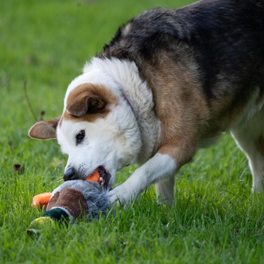 Petface Plush Duck Toy for Dogs – Honking & Squeaky