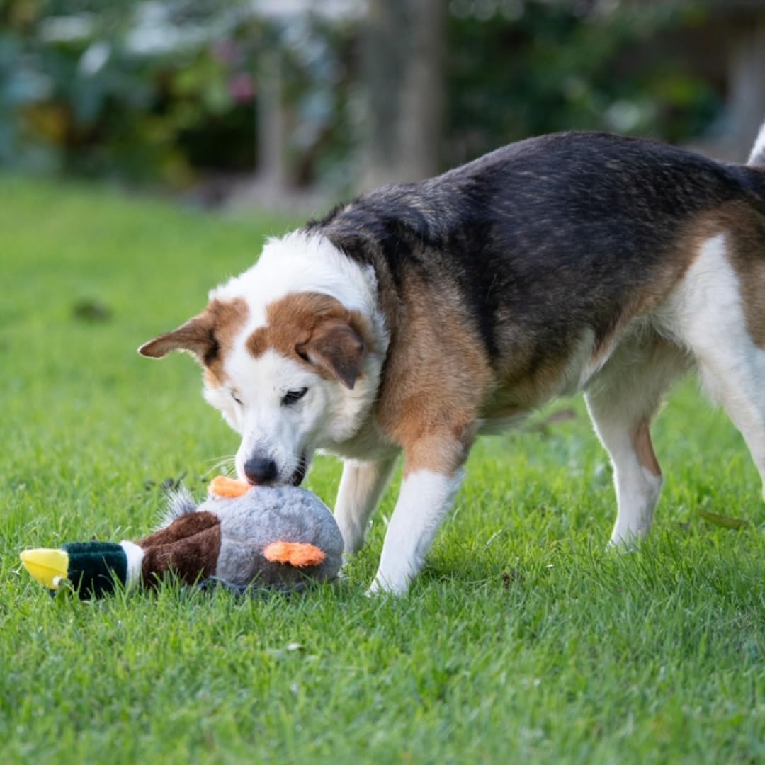 Petface Plush Duck Toy for Dogs – Honking & Squeaky