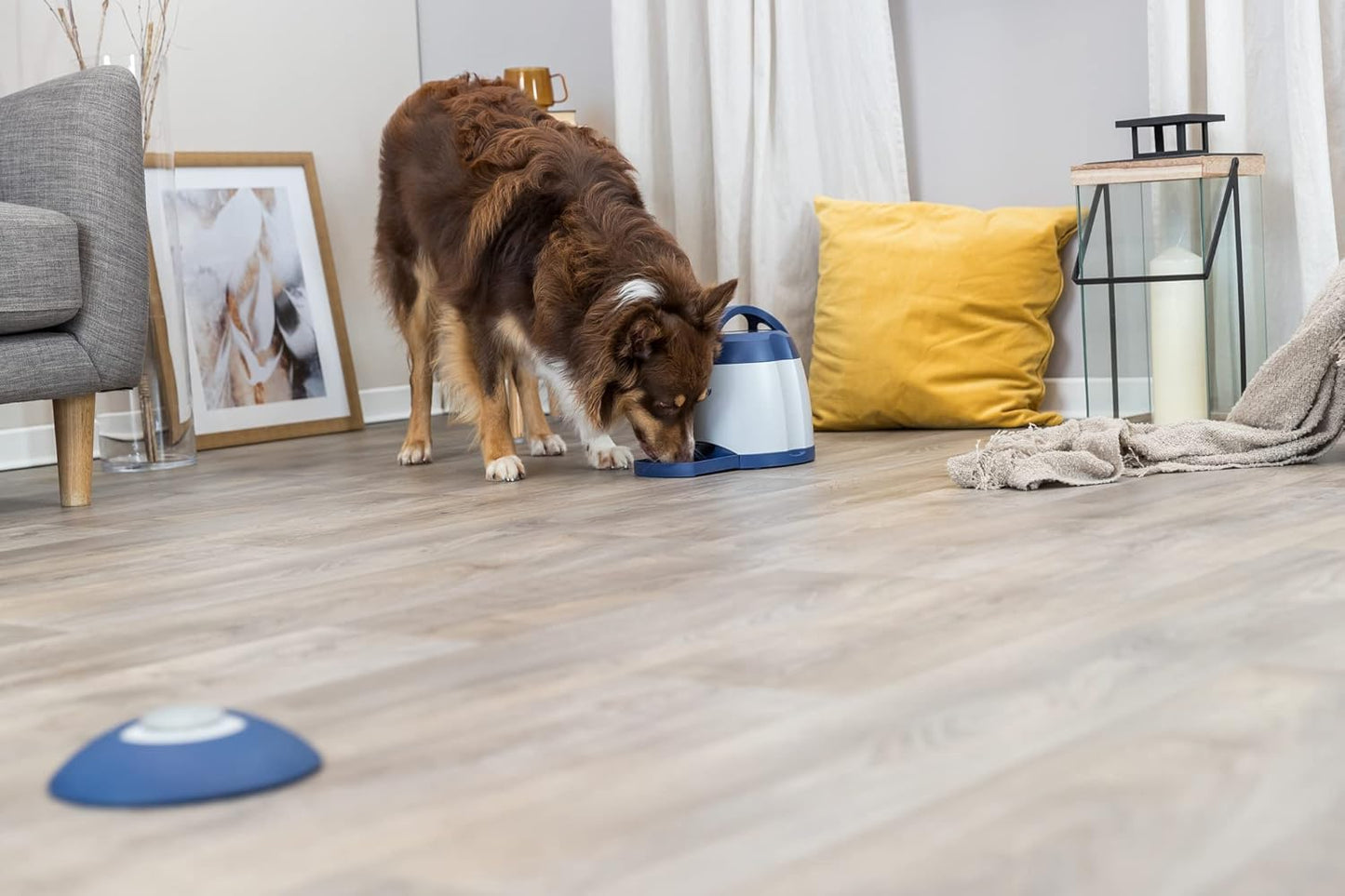 Smart Pup Challenge Game – Boost Memory & Skills | 24 x 20 cm
