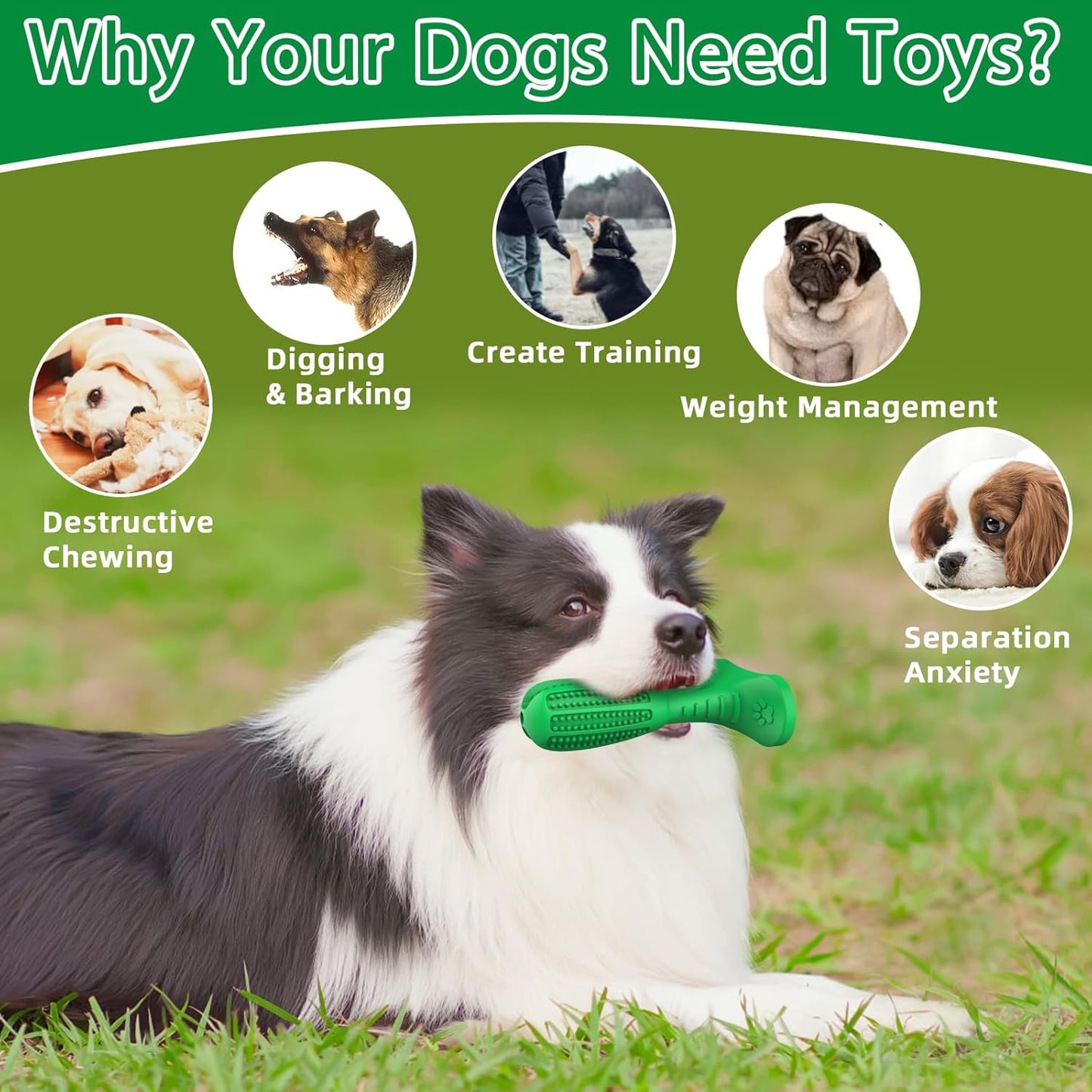 Natural Rubber Dog Chew Toy – Puppy Dental Care & Teeth Cleaner, Perfect for Grinding & Gift!