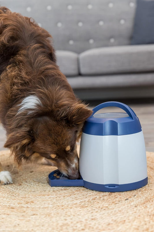 Smart Pup Challenge Game – Boost Memory & Skills | 24 x 20 cm