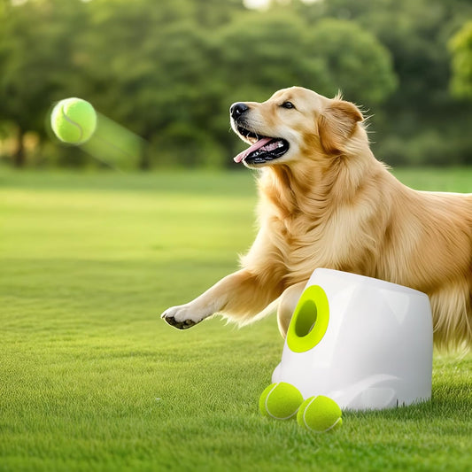 Interactive Automatic Tennis Ball Launcher for Dogs – Rechargeable Fetch Toy with 3 Balls Included (MAX)