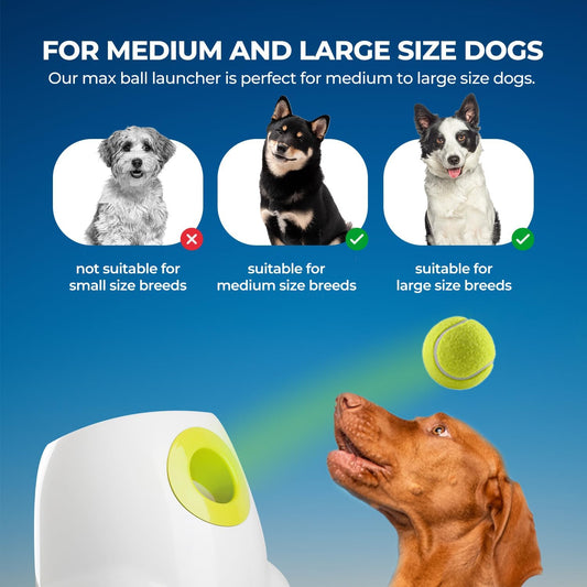 Interactive Automatic Tennis Ball Launcher for Dogs – Rechargeable Fetch Toy with 3 Balls Included (MAX)