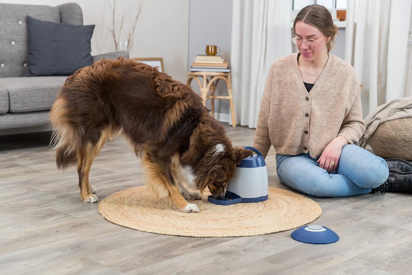 Smart Pup Challenge Game – Boost Memory & Skills | 24 x 20 cm