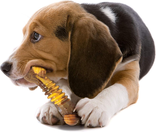 Extreme Durable Dog Chew Bone Toy – Beef & Cheese Flavor, Medium, for Dogs up to 16kg