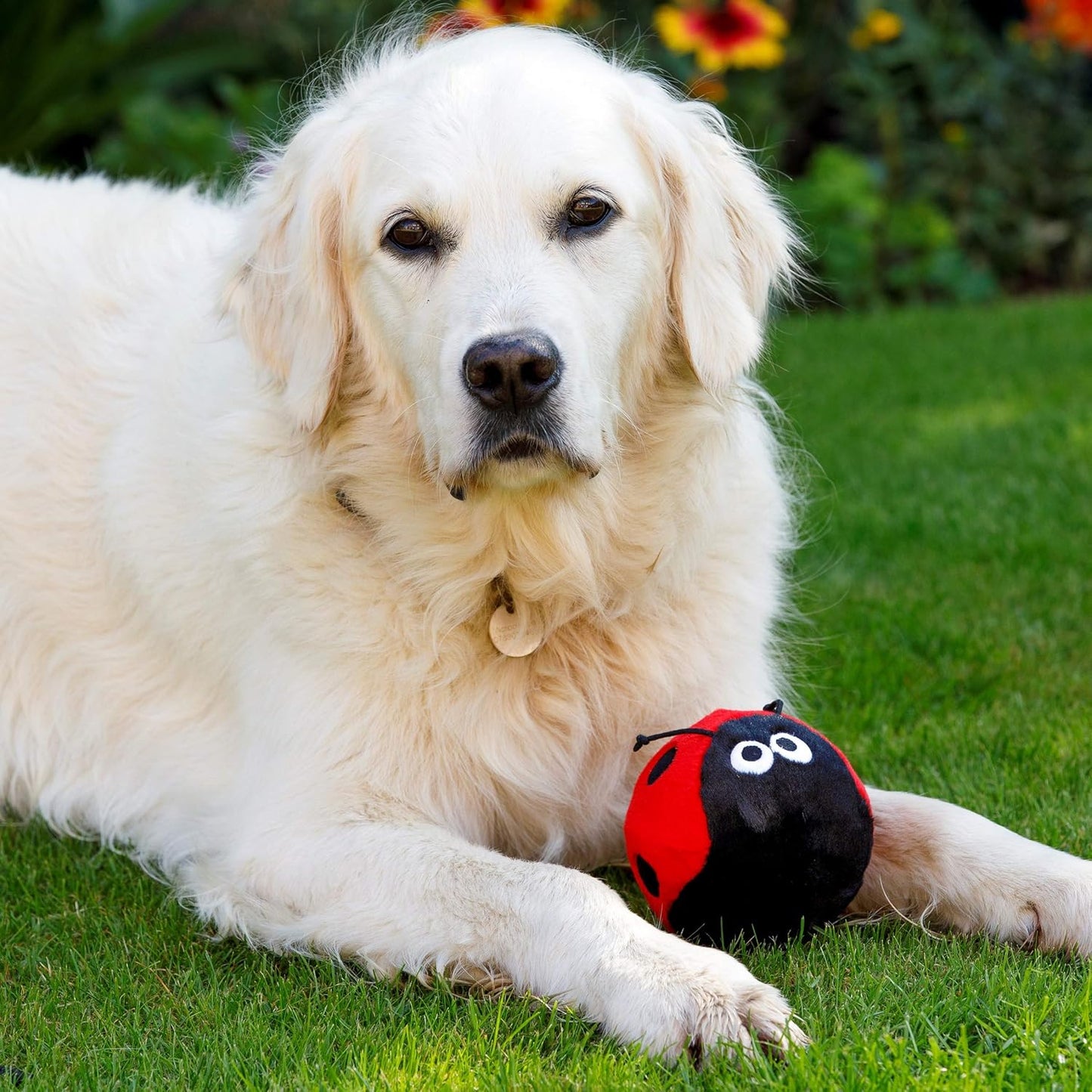Cute Ladybird Plush Chew Toy for Dogs - Soft and durable playtime companion